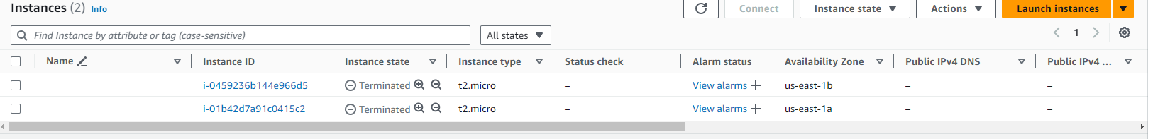 Terminated EC2 Instances